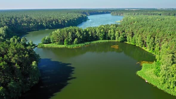 Big forest and lake in Zalew Koronowski, Poland