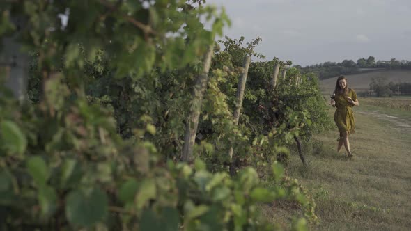 Summer Happiness Freedom Beauty Female In Dress Walks In Vineyards