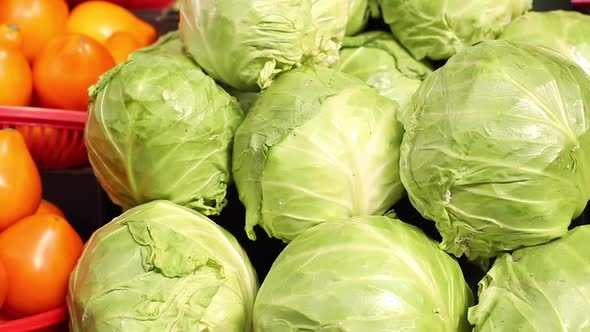 Close Up Video of a Lot of Great Tasty Fresh Green Cabbage Swings Lying on the Counter Before Being