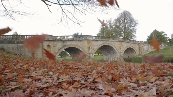 Slow Motion Leaves Falling on an Autumn Scene.