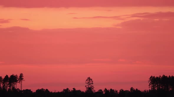 Beautiful Sunset Sky Above Forest