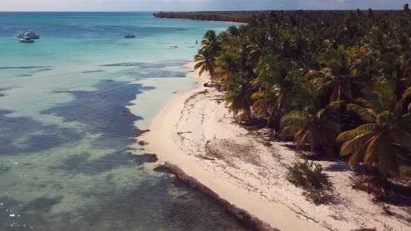 4k 24fps Drone Caribbean Beach In The Paradise With Palms Tree