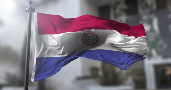 Paraguay national flag. Paraguay country waving flag