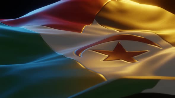 Western Sahara - Stylized Flag