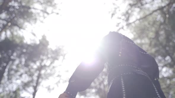Soldier with shield and sword. alt