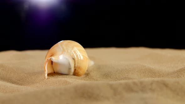 Long Sea Shell with Sand on Black, Rotation, Close Up