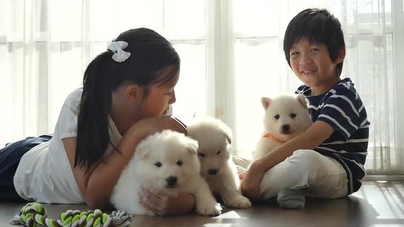 Cute Asian Children Playing With Siberian Husky Puppies Slow Motion 