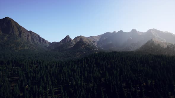 Rocky Mountain Range with Trees alt