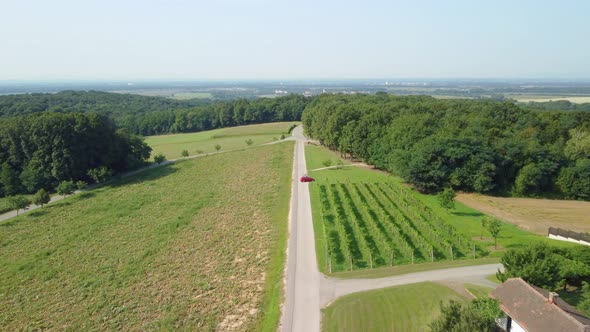 Aerial drone view of red car on a country road near vineyards.