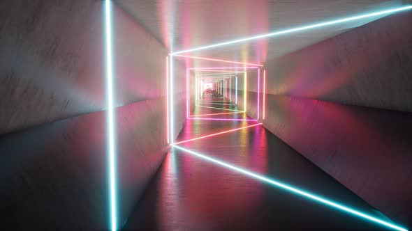 Fluorescent Ultraviolet Light Neon Tunnel