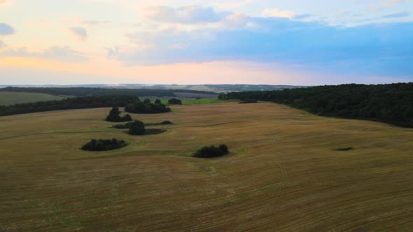 Aerial Landscape View of Yellow Cultivated Agricultural Field with Ripe Wheat on Bright Summer Day