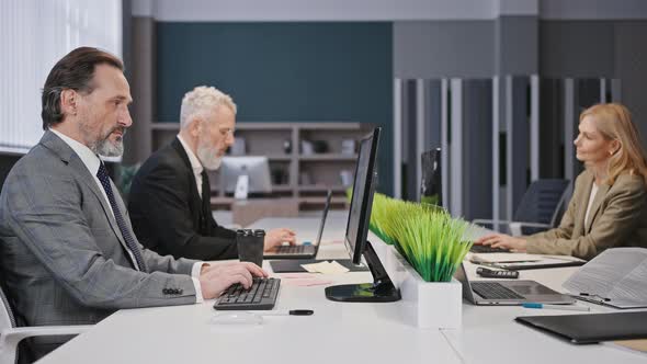 Group of Mature Professional Men and Women Employees Working at Modern Office Typing on Laptops