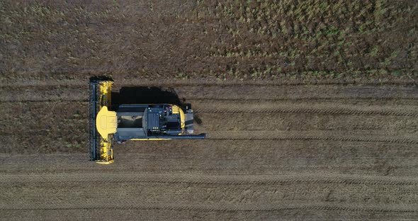 Combine harvester, harvest wheat on the field. Aerial top down view