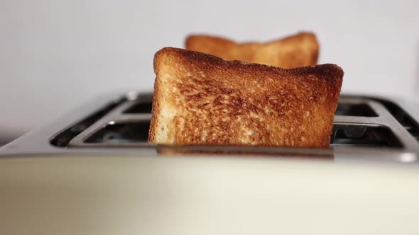 Roasted bread in white toaster. two delicious and toaster toasts. the process of frying toasts.