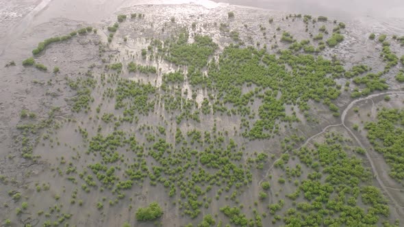 Slow aerial flyover of the rising tide in the wetlands just outside of Freetown, Sierra Leone.