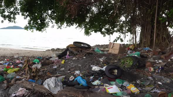 Rubbish plastic, bottle, tire , box beside tree