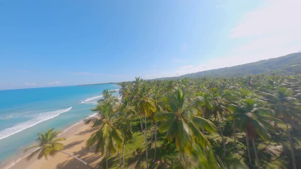 Fly Over Trees And Beach Landscape of Playa Coson, Las Terrenas, Dominican Republic - aerial shot