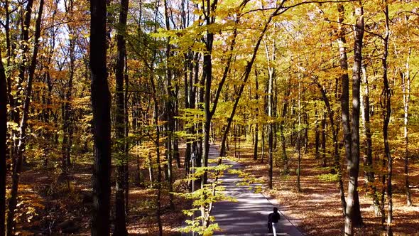 Aerial drone view of a flying in the autumn park. Flying over the park path.