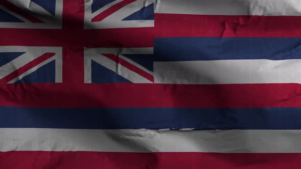 Hawaii State Flag 4K