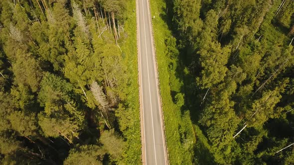 Highway Among the Forest