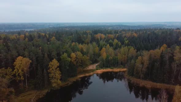 Aerial View of Green Pine and Spruce Conifer Treetops Forest and Kalnmuiza lake in Latvia. Colorful