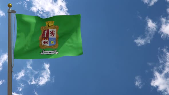 Leon City Flag (Mexico) On Flagpole