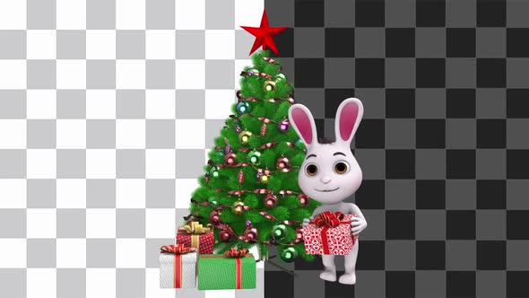 Rabbit With Gift Box Looped