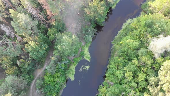 Aerial View of Riverbed Between Pine Forest. River Near Tops of Green Trees