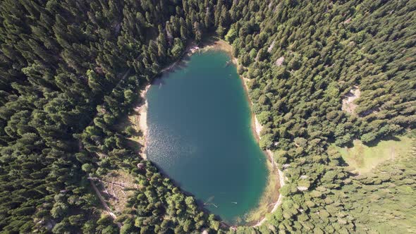 Aerial view of mountain lake surrounded by dense forest. Montenegro, Europe