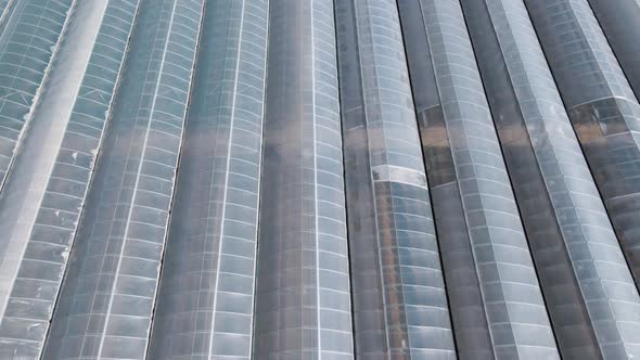 Aerial Top View of Greenhouse Plant