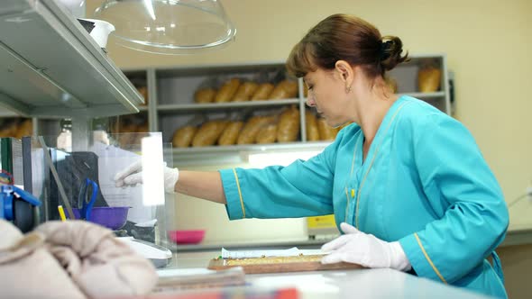 Laboratory Research of Corn Seeds