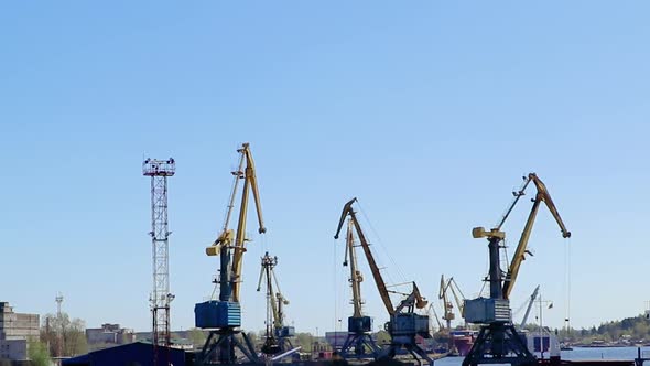 Harbor Cranes in Transport Seaport