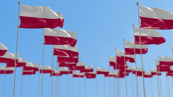 Poland Row Of National flags Walk Throw Animation alt