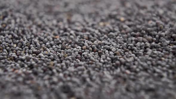 Falling on a heap of poppy seeds in slow motion. Macro