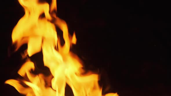 Bonfire Burning at Night. Flames of Campfire at Nature. Slow Motion 240 Fps