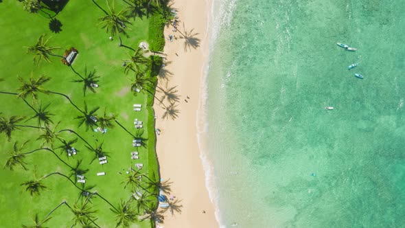 Perfect Sandy Beach Aerial View Luxury Resort Landscape with Green Palm Garden