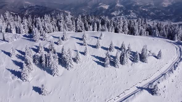 Flying Over Trees And Mountains in the Winter