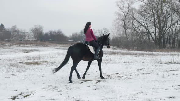 Young Brunette Woman Rides a Beautiful Black Horse on a Field or Snowcovered Farm in Winter