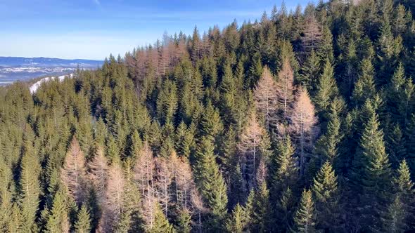 Mountains and Forest in the Aerial Sliding Shot