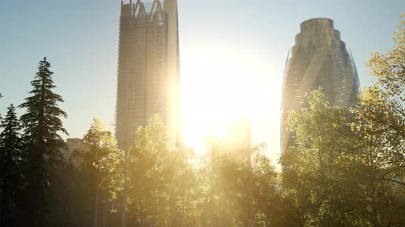 Skyscrapes and the Forest Park at Sunrise