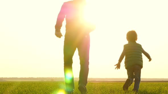 Silhouette of a Happy Family at Sunset. Father and Son Play, Running Through a Green Meadow. Travel
