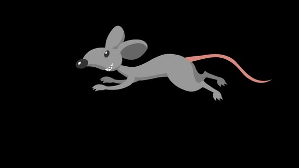 Rat Runs Animation 