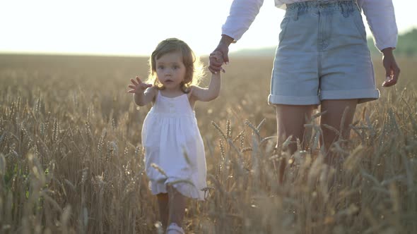 Little Daughter and Mom Walk Around Wheat Field Holding Hands