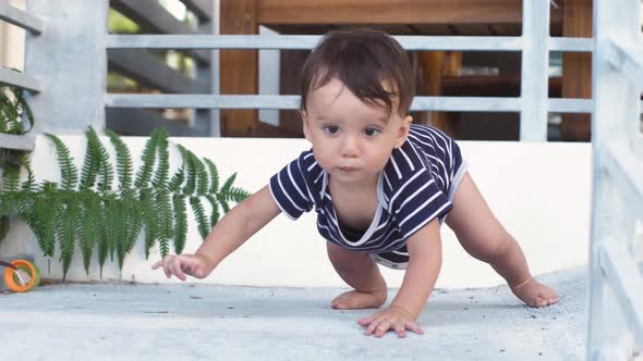 Smart Baby 910 Months Goes Down the Slope on All Fours on All Fours