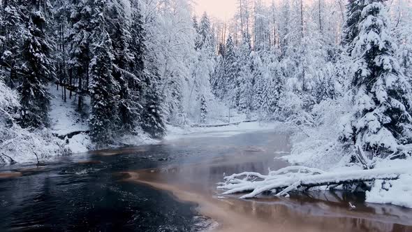 Flying Over a Forest Swirling River with Small Rapids in the Middle of a Fabulous Winter Forest in