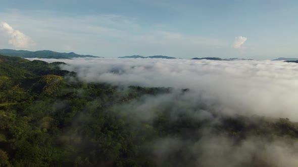 South American rainforest covered with low clouds in misty environment. Aerial perspective