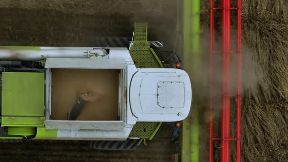 The Combine Harvests Grain in the Field