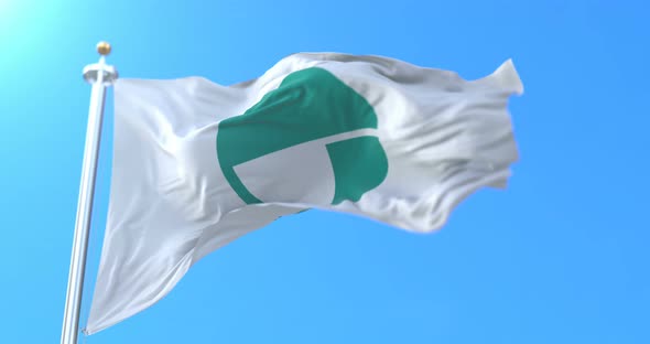 Nagano City Flag, Japan