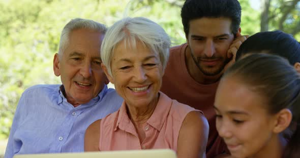 Multi-generation family using laptop in park 4k