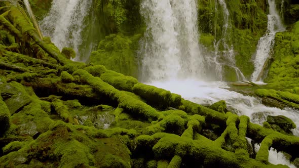 Beautiful Waterfall In Oregon